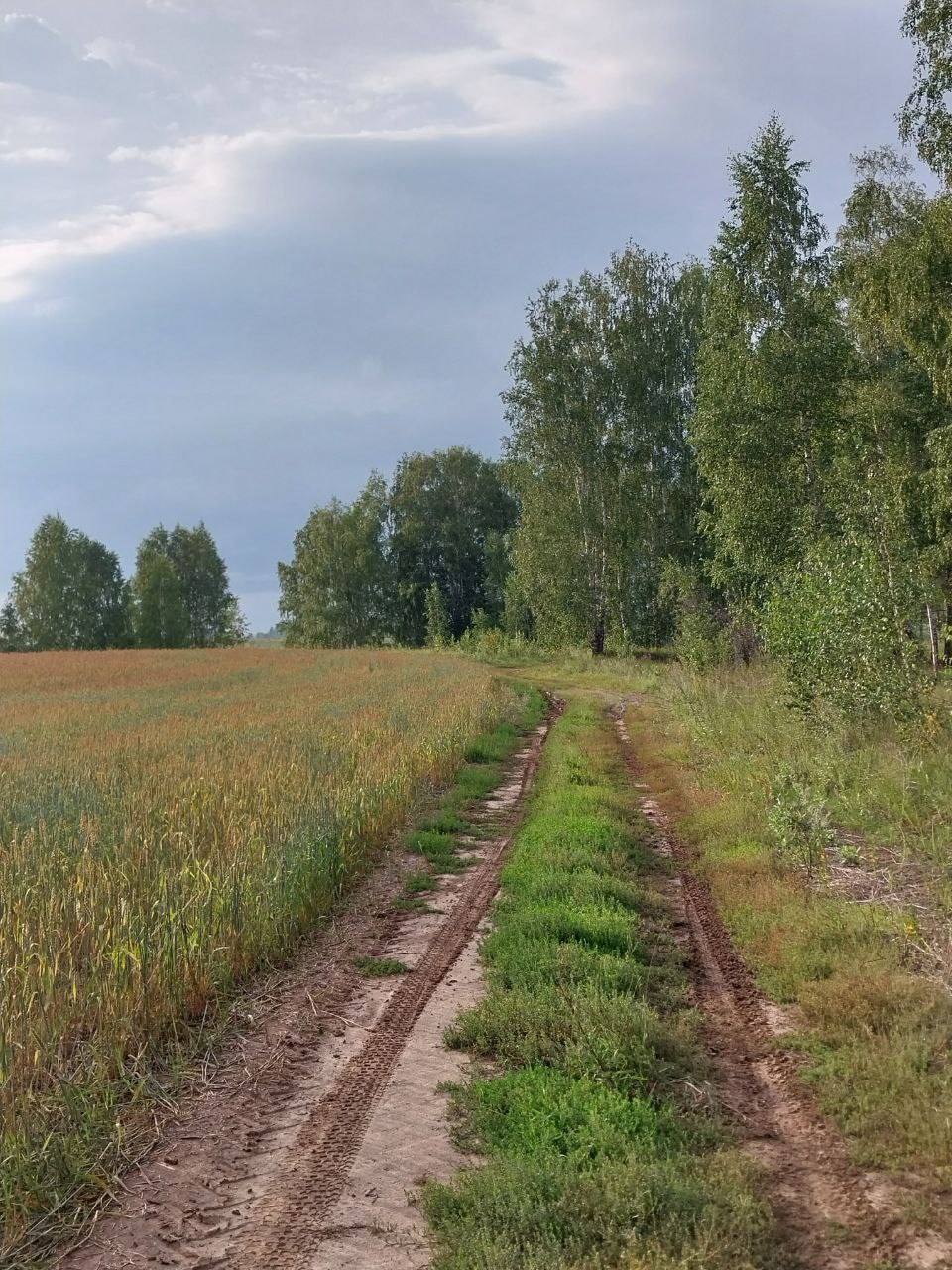 Деревня Пенькова