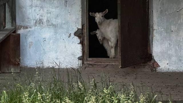 Статья как пользоваться сайтом